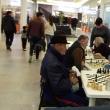 Campionatele județene de șah la copii, juniori și seniori, organizate la Suceava