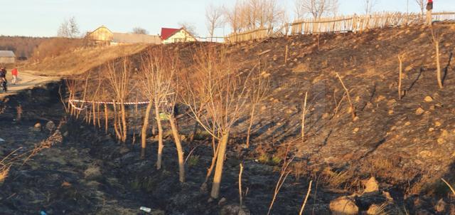 Un bătrân care a vrut să stingă un incendiu de vegetație a murit ars de viu