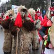 Parada obiceiurilor de iarnă Suceava 2019 5