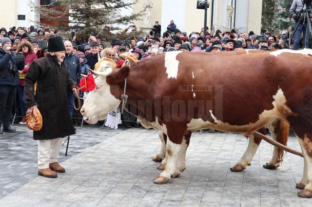 Cel mai mare Festivalul al Obiceiurilor de Iarnă din România a atras peste 10.000 de spectatori în centrul Sucevei