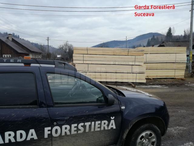 Control la firma fiului unui consilier de la Garda Forestieră Suceava, amendată pentru transport ilegal de cherestea