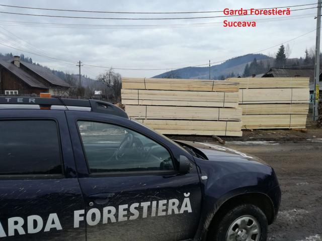 Control demarat de Garda Forestieră Suceava la firma fiului unui consilier al instituției, amendată pentru transport ilegal de cherestea
