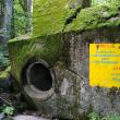 „Bârlogul lupului”, locul unde fiorul nazist al lui Hitler este încă viu