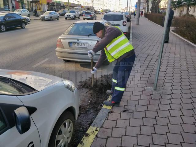 Campanie de curățenie stradală, ca de primăvară, demarată în plină iarnă 4