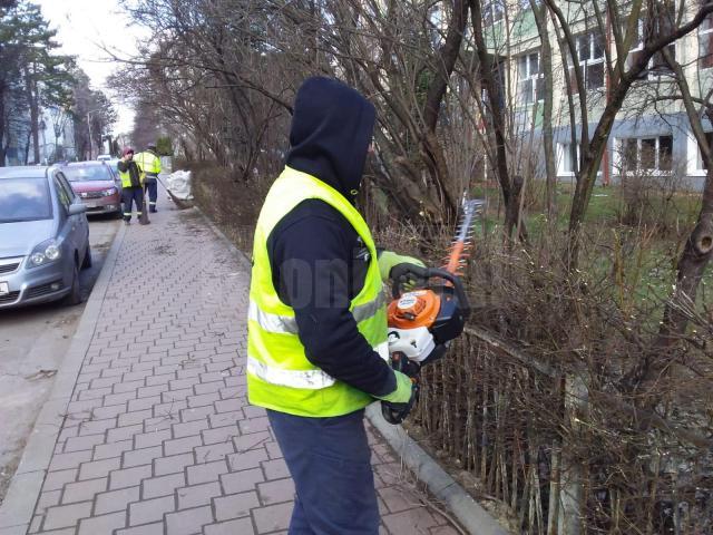 Campanie de curățenie stradală, ca de primăvară, demarată în plină iarnă 6