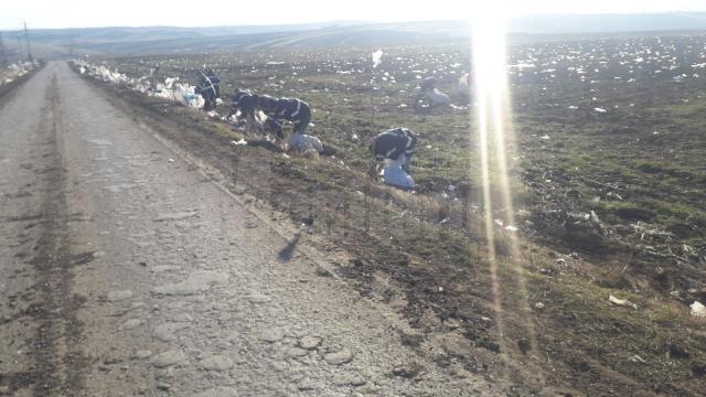 Câteva tone de deşeuri au acoperit câmpurile din jurul depozitului de la Moara