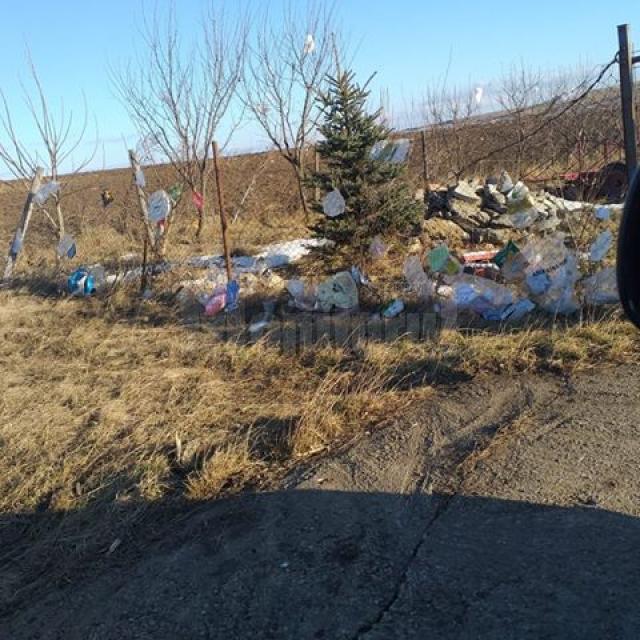 Garda de Mediu Suceava decide luni măsurile pe care le va lua în cazul gunoaielor luate de vânt de la depozitul ecologic de la Moara