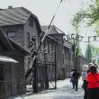 Celebra lozincă de la intrarea în lagarele naziste- Munca te face liber -la  Auschwitz şi Birkenau - foto Andrei Klein