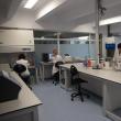 Laborator de biologie moleculară USV