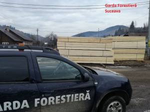 Control demarat de Garda Forestiera Suceava la firma fiului unui consilier al instituției, amendată pentru transport ilegal de cherestea