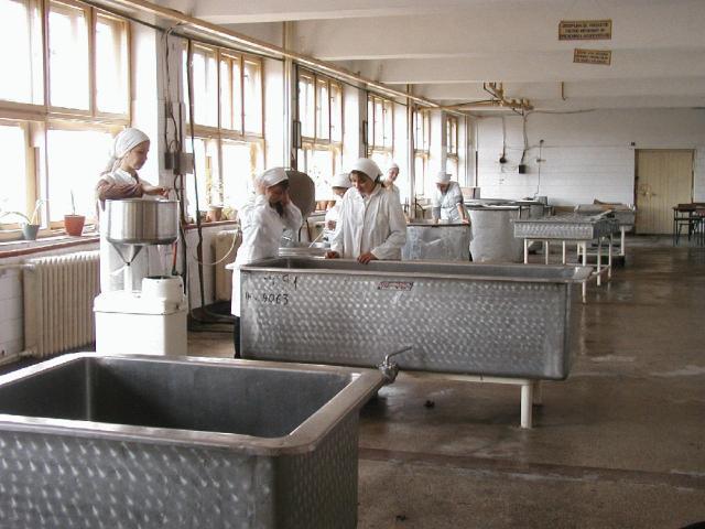 Fabrica de lactoză din Vatra Dornei