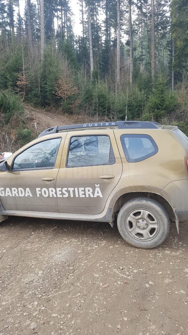 Garda Forestiera Suceava a aplicat o amendă de 10.000 de lei, ca urmare a sesizării făcute de un cetățean