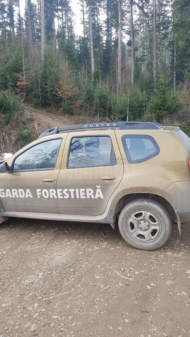 Garda Forestieră Suceava a aplicat o amendă de 10.000 de lei, ca urmare a sesizării făcute de un cetățean
