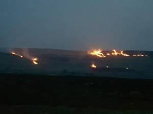 Șapte intervenții pentru stingerea unor incendii de vegetație, în doar câteva ore