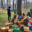 Peste 70 de elevi de la Bilca cu construit căsuțe pentru păsărele
