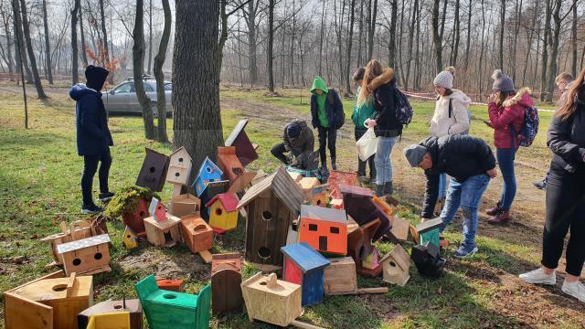 Peste 70 de elevi de la Bilca cu construit căsuțe pentru păsărele