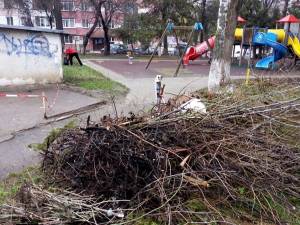 Campanie de primăvară de colectare a deșeurilor voluminoase rezultate din toaletarea arborilor, gardului viu și salubrizarea gospodăriilor