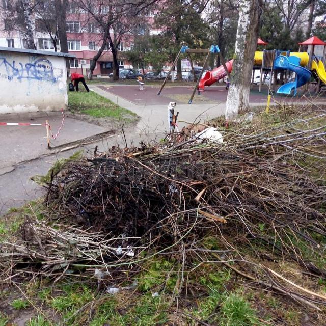 Campanie de primăvară de colectare a deșeurilor voluminoase rezultate din toaletarea arborilor, gardului viu și salubrizarea gospodăriilor