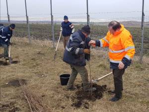 Gheorghe Flutur a dat startul campanie de plantare de copaci în județul Suceava