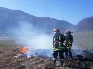 Flăcările au afectat peste 80 de ha de teren şi 20 de ari plantații de molid