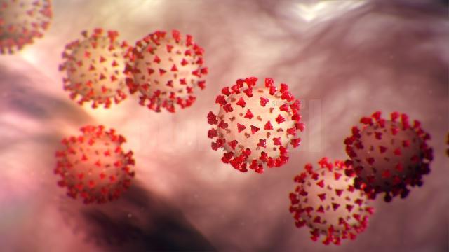 O suceveancă în vârstă de 72 de ani a murit în urma infectării cu noul coronavirus