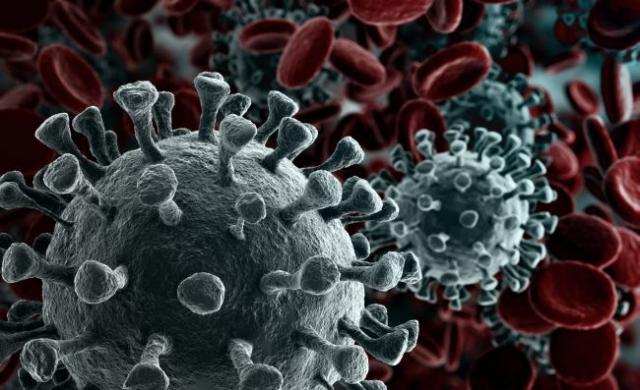53 de suceveni confirmați cu coronavirus au murit de la declanşarea epidemiei