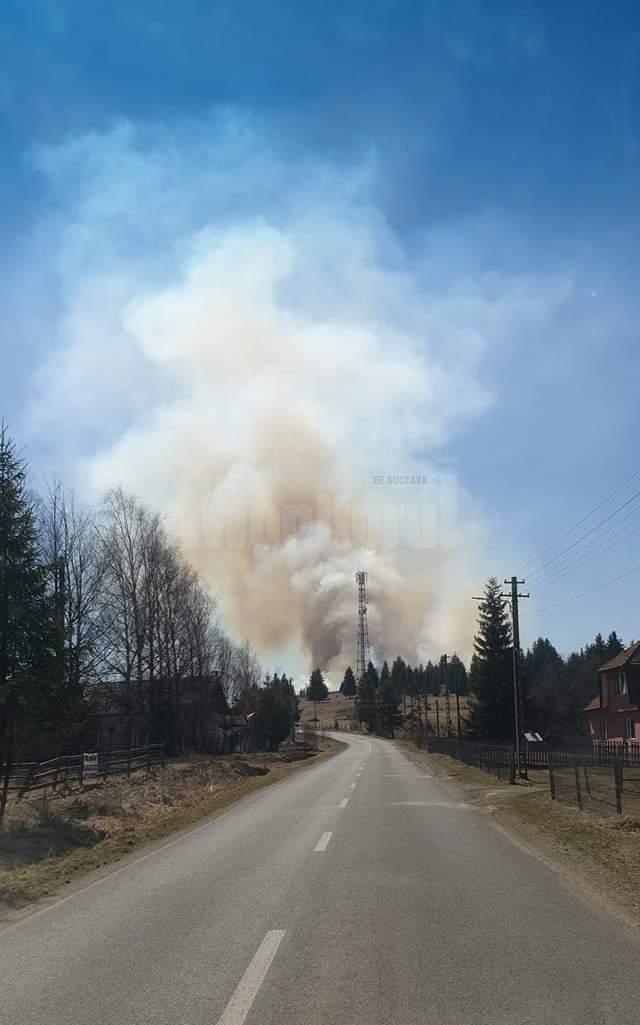 Peste 60 de oameni au muncit să oprească un incendiu extins, care amenința pădurea