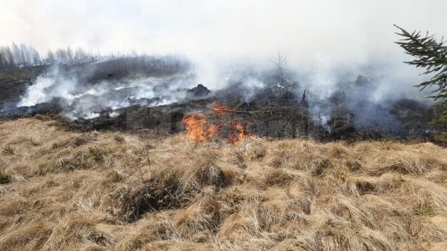 Peste 60 de oameni au muncit să oprească un incendiu extins, care amenința pădurea