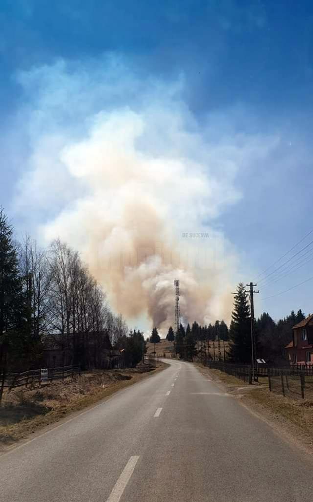 Zeci de oameni, mobilizați la trei incendii de vegetație scăpate de sub control