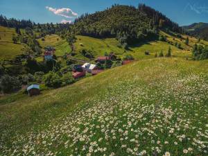 #5 Cătălin Dumitrescu