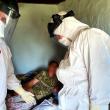 O femeie din Siminicea a născut un băiețel, acasă, trei pompieri alertați prin 112 asistând la nașterea copilului