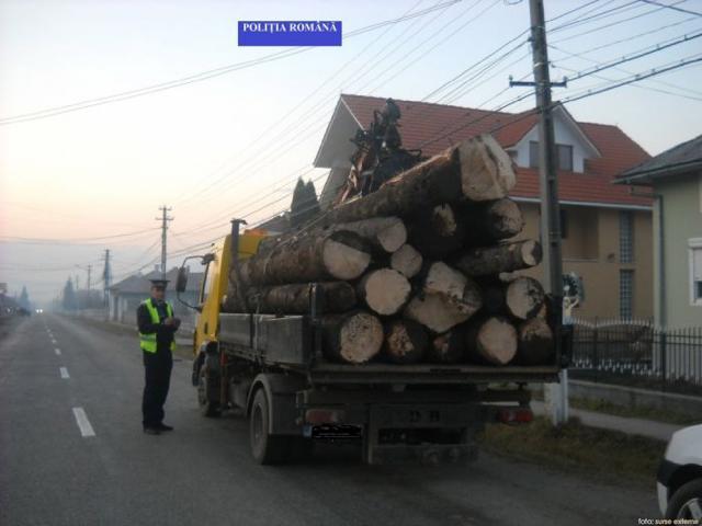 Transporturi ilegale de material lemnos, depistate în trafic de polițiști