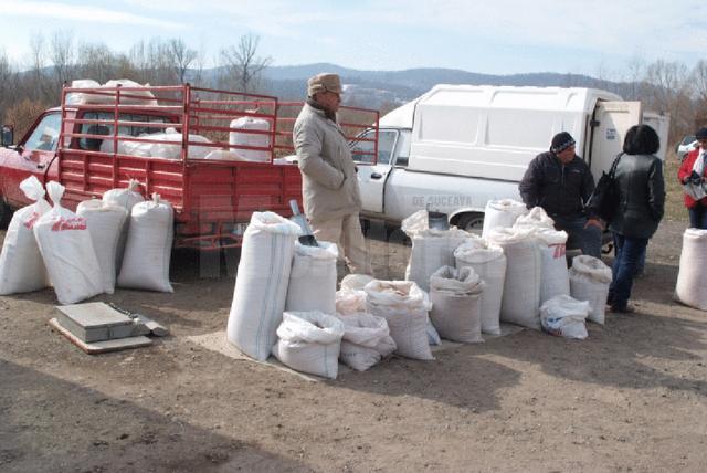 Târgul de produse agricole din Vicovu de Sus se va redeschide sâmbătă