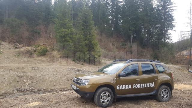 Inspectorii Gărzii Forestiere Suceava au reușit să descopere tăieri ilegale de arbori în valoare de 90.000 de lei