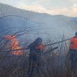 În jur de 200 de oameni au muncit la stingerea a șase incendii care amenințau pădurea