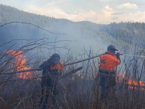 În jur de 200 de oameni au muncit la stingerea a șase incendii care amenințau pădurea