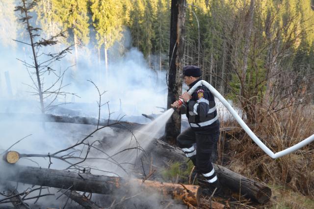 În jur de 200 de oameni au muncit la stingerea a șase incendii care amenințau pădurea