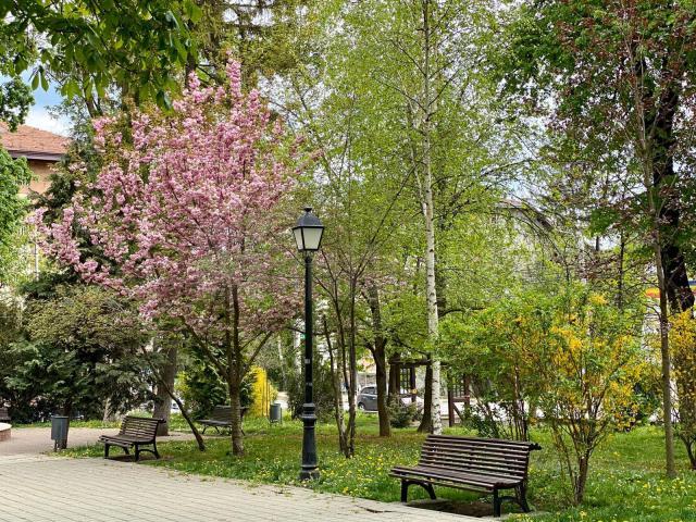 1 Mai diferit la Suceava, pe timp de pandemie