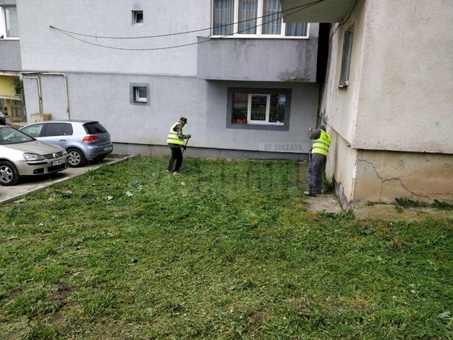 Activitatea de întreținere a spațiilor verzi din municipiul Suceava a fost reluată de luni, 4 mai