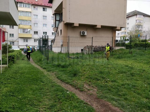 Activitatea de întreținere a spațiilor verzi din municipiul Suceava a fost reluată de luni, 4 mai