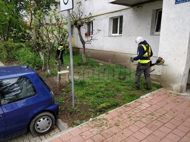 Activitatea de întreținere a spațiilor verzi din municipiul Suceava a fost reluată de luni, 4 mai