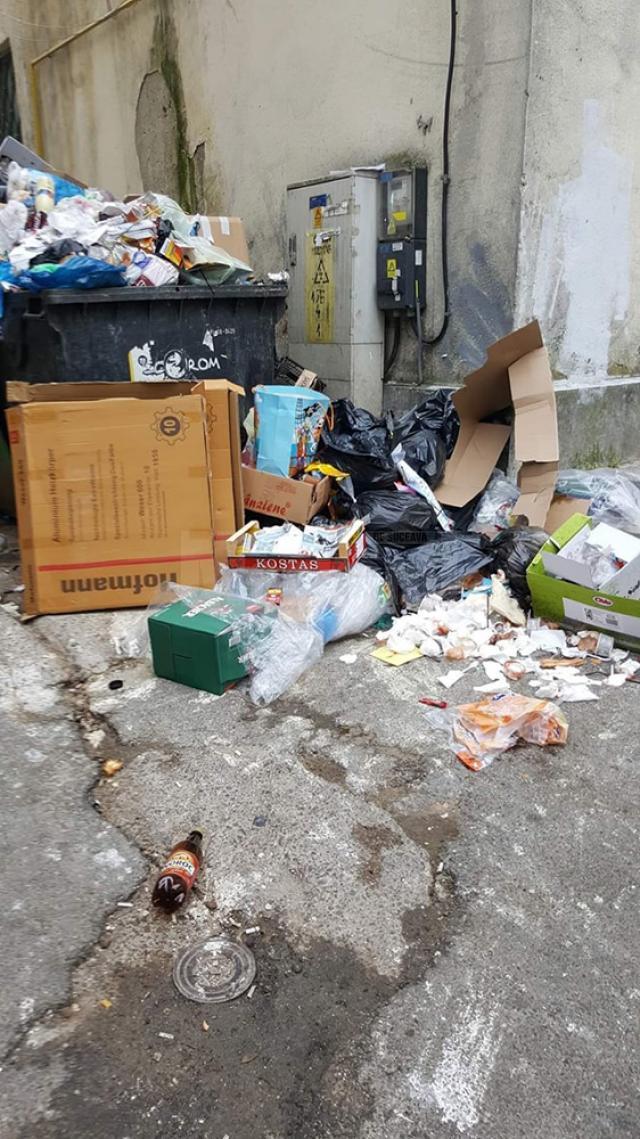 Vechiul punct de colectare a gunoiului, în gang, nefiind disponibil nici un alt amplasament pentru acea zonă cu mulți locatari și spații comerciale