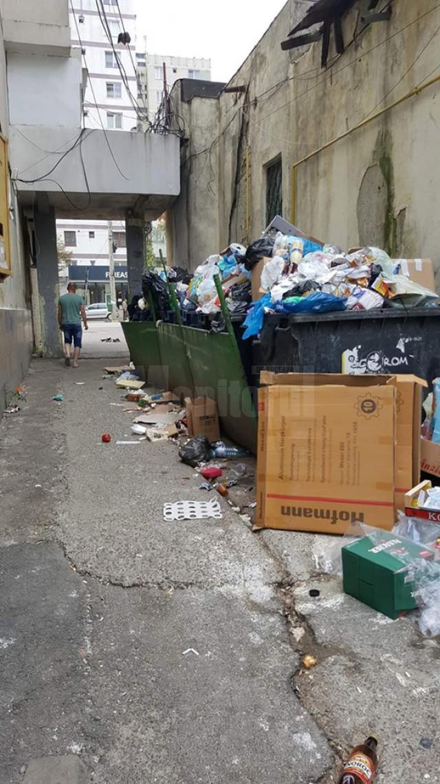 Vechiul punct de colectare a gunoiului, în gang, nefiind disponibil nici un alt amplasament pentru acea zonă cu mulți locatari și spații comerciale