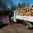 O camionetă plină cu lemn de fag, depistată la Sucevița fără acte legale