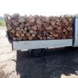 O camionetă plină cu lemn de fag, depistată la Sucevița fără acte legale