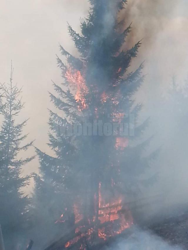 Imagini impresionante, cu brazi care ard în picioare, ca lumânările, mult fum și oameni plini de funingine și sudoare, arată efortul depus pentru stingerea incendiului