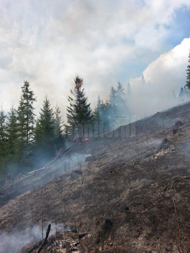 Imagini impresionante, cu brazi care ard în picioare, ca lumânările, mult fum și oameni plini de funingine și sudoare, arată efortul depus pentru stingerea incendiului