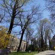 Parcurile din Suceava și zona de agrement Tătărași, deschise publicului de astăzi