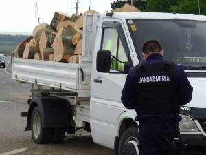 jandarmi lemn confiscat