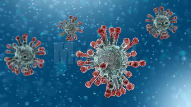 Cinci suceveni infectați cu noul coronavirus au murit în cursul zilei de sâmbătă